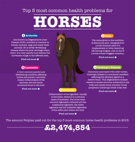 5 most common horse diseases.